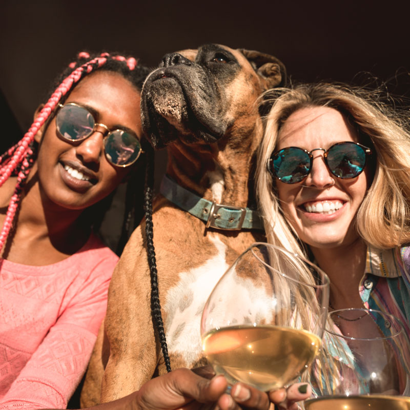 Women-with-Dog-and-Wine